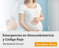 gineco-mini